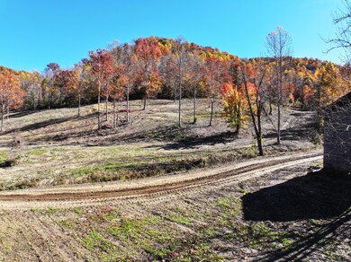 9997 Little Doe Creek Rd, Irvine, KY 40336 - photo 6