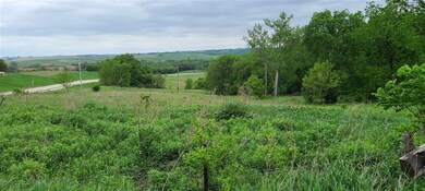 27694 Highway 13, Elkader, IA 52043 - photo 2