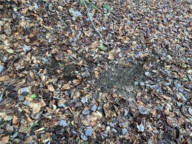 TBD Fall Creek Rd Fall Creek Rd, Purlear, NC 28665 - photo 6