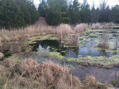 Spring-Fed Pond