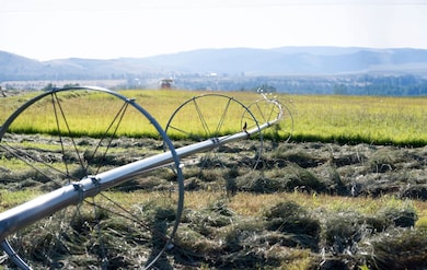 711 Middle Burnt Fork Rd, Stevensville, MT 59870 - photo 6