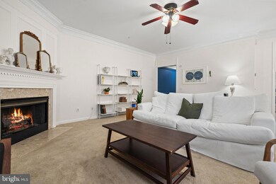 1724 Osage St unit 304, Alexandria, VA 22302 - photo 7