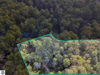 2064 W P M Ln, Baldwin, MI 49304 - photo 4