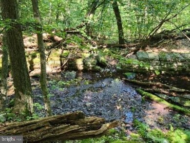 9756 U S 209, Williamstown, PA 17098 - photo 3