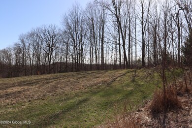 1 Chuck Hollow Dr, Milton, NY 12020 - photo 6