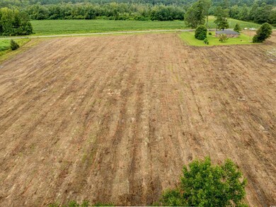 TBD Lot B6 Mount Olive Church Rd, Nichols, SC 29581 - photo 7