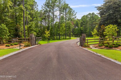 Springwood-July2025-3