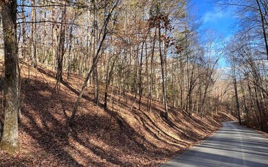 2721 Mooring Dr, Ellijay, GA 30540 - photo 7