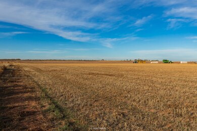 TBD 1085, Trent, TX 79561 - photo 7