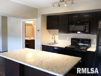 501 15th St unit 304, Moline, IL 61265 - photo 2