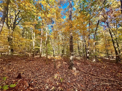 00 Nc 8801, Jasper, AR 72704 - photo 3