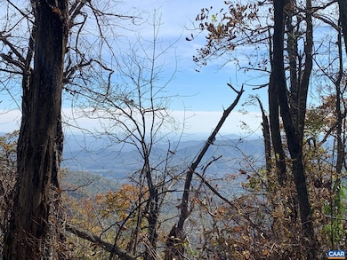 2960 Beech Grove Rd, Roseland, VA 22967 - photo 6