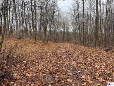 Lot 1 Vinson Rd, Brandenburg, KY 40108 - photo 6