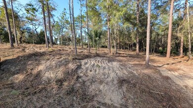 0 SW 53rd St unit MFROM714620, Ocala, FL 34481 - photo 4