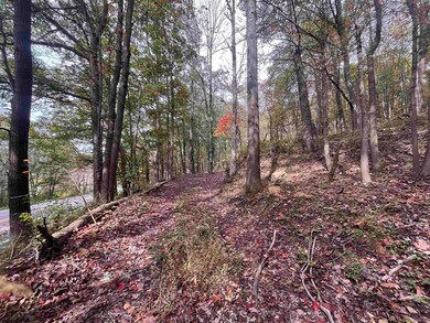 33213 Veterans Memorial Hwy, Terra Alta, WV 26764 - photo 5