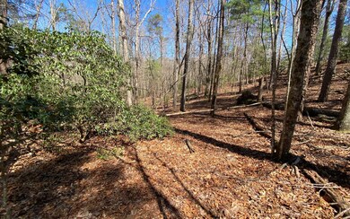 0 Hiawassee Ct unit 323830, Ellijay, GA 30540 - photo 6