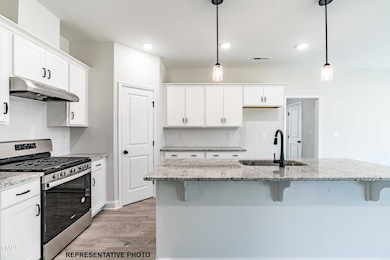 218 Fish Camp Dr, Wendell, NC 27591 - photo 2