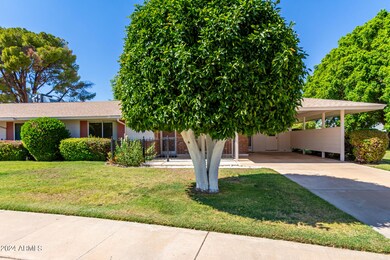 10802 W Cheryl Dr unit 6E, Sun City, AZ 85351 - photo 4