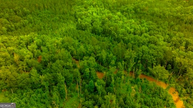 1230 Agricola Rd, Mitchell, GA 30820 - photo 2