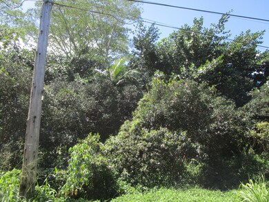 0 9th Ave (Kalaunu) unit 718806, Keaau, HI 96749 - photo 3