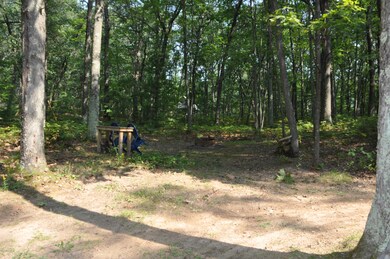 9094 W Hillcrest Blvd, Baldwin, MI 49304 - photo 4