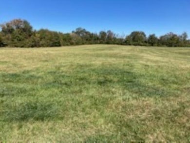 00 Cudd Dr, Chesnee, SC 29323 - photo 3