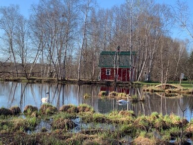 A pair of swans, hopefully nesting in the pond!