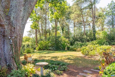 358 Main St E 10 1 2 St, Orange, VA 22960 - photo 6