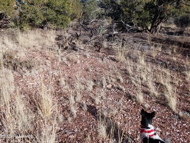 197bcd Off Indigo Way, Ash Fork, AZ 86320 - photo 7