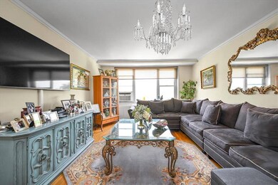 Living room hardwood floors