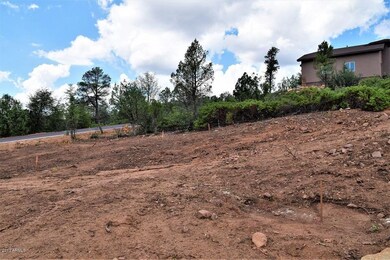 1902 E Chance Court, Payson, AZ 85541 (5