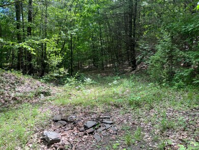 0 Lake Mills Rd unit 153003, Cairo, NY 12413 - photo 2