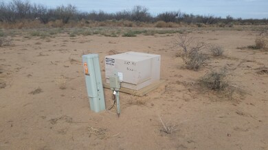 12802 Green Cactus