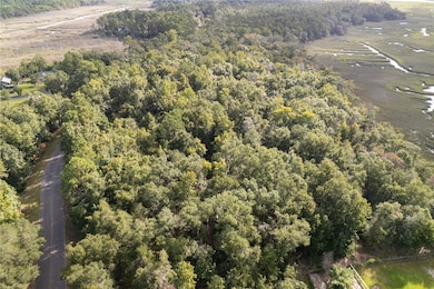 0 Sheffield Island Rd unit 1657408, Woodbine, GA 31569 - photo 5