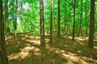 View of local wilderness with a wooded view