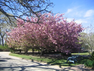 14 Metells Way, Edgartown, MA 02539 - photo 5