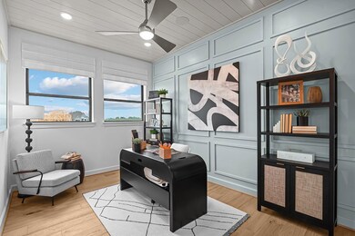 The Conroe - Study
