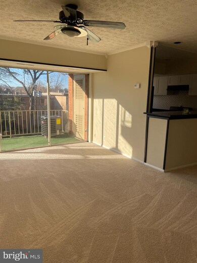 3708 N Rosser St unit 103, Alexandria, VA 22311 - photo 3