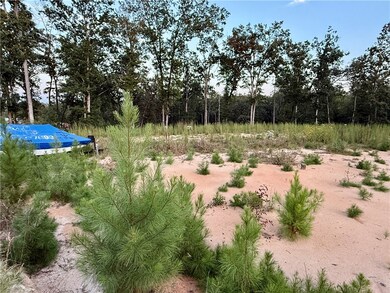 00 N Hwy 11, Salem, SC 29676 - photo 7