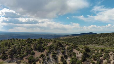 0 County Road 4 unit 43905, Ridgway, CO 81432 - photo 6