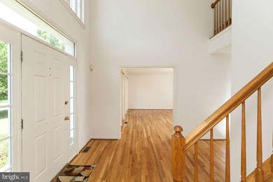 1207 Meadowlark Dr, Towson, MD 21286 - photo 4