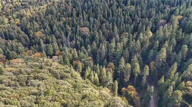 0 Deer Run Rd unit CV25260615, Cedarpines Park, CA 92322 - photo 2