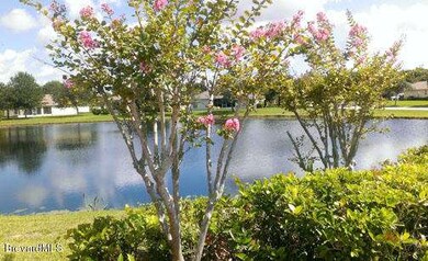 Community Pond