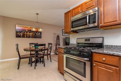 741 Dunny Ave, Sheffield Lake, OH 44054 - photo 7