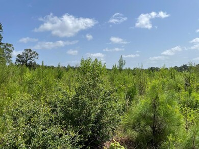 76.68 ac Fm 343, Nacogdoches, TX 75964 - photo 6