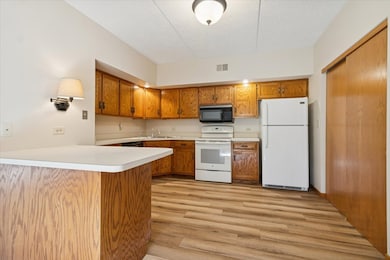 3119 Ingalls Ave unit 2A, Joliet, IL 60435 - photo 4