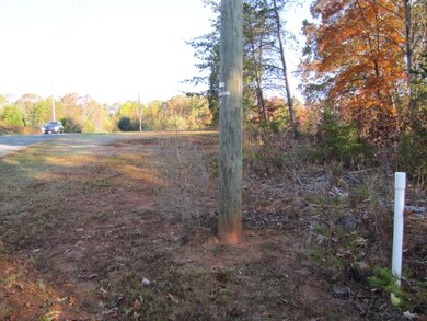 Lot begins at White Pole