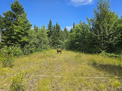 L 5 Ackley Pond Rd, Mount Chase, ME 04765 - photo 5