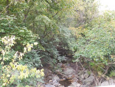 369 - Olentangy Forest ravine