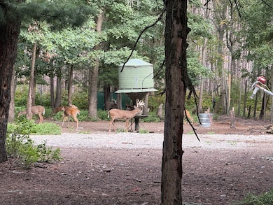 9283 9283 unit N Willow Ave., Bitely, MI 49309 - photo 7